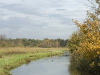 B, Limburg, Neerpelt, Hageven, Dommel 8, Saxifraga-Marijke Verhagen