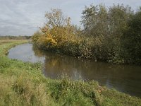 B, Limburg, Neerpelt, Hageven, Dommel 9, Saxifraga-Marijke Verhagen