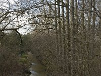 B, Limburg, Overpelt, Endergatloop 1, Saxifraga-Jan van der Straaten