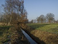 B, Limburg, Peer, Bergske, Dommel 10, Saxifraga-Jan van der Straaten