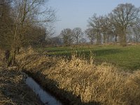 B, Limburg, Peer, Bergske, Dommel 5, Saxifraga-Jan van der Straaten