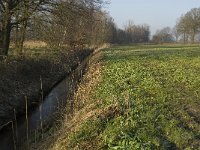 B, Limburg, Peer, Bergske, Dommel 7, Saxifraga-Jan van der Straaten