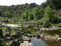 E, Caceres, Madronera, Arroyo de Magasca 1, Saxifraga-Dirk Hilbers