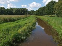 NL, Drenthe, Assen, Anreperdiepje 3, Saxifraga-Hans Dekker