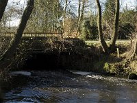 NL, Noord-Brabant, Bergeijk, Beekloop 3, Saxifraga-Marijke Verhagen