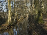 NL, Noord-Brabant, Bergeijk, De Beeken, Beekloop 1, Saxifraga-Jan van der Straaten