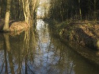 NL, Noord-Brabant, Bergeijk, De Beeken, vloeiweide 2, Saxifraga-Jan van der Straaten