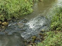 NL, Noord-Brabant, Boxtel, Kampina, Beerze 6, Saxifraga-Jan van der Straaten