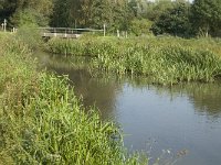 NL, Noord-Brabant, Oirschot, Dal van de Beerze 11, Saxifraga-Jan van der Straaten