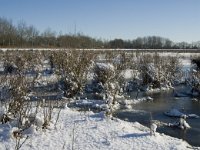 NL, Noord-Brabant, Oirschot, Dal van de Beerze 24, Saxifraga-Marijke Verhagen