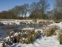 NL, Noord-Brabant, Oirschot, Dal van de Beerze 27, Saxifraga-Jan van der Straaten