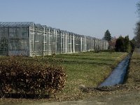 NL, Noord-Brabant, Oirschot, Spoordonk 1, Saxifraga-Jan van der Straaten