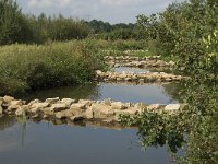 NL, Noord-Brabant, Oirschot, Spoordonk, de Beerze 2, Saxifraga-Jan van der Straaten