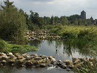 NL, Noord-Brabant, Oirschot, Spoordonk, de Beerze 9, Saxifraga-Marijke Verhagen