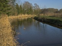 NL, Noord-Brabant, Oirschot, Westelbeersche Broek, Beerze 1, Saxifraga-Jan van der Straaten