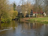 NL, Noord-Brabant, Boxtel 9, Saxifraga-Jan van der Straaten