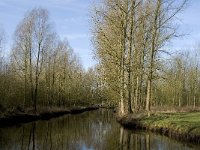 NL, Noord-Brabant, Eindhoven, De Bogten, Dommel 1, Saxifraga-Jan van der Straaten