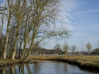 NL, Noord-Brabant, Eindhoven, De Bogten, Dommel 9, Saxifraga-Jan van der Straaten