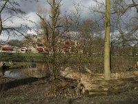 NL, Noord-Brabant, Eindhoven, Dommel and Tongelreep 11, Saxifraga-Marijke Verhagen