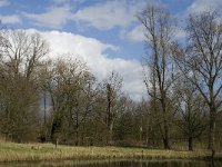 NL, Noord-Brabant, Eindhoven, Dommel and Tongelreep 18, Saxifraga-Marijke Verhagen