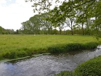 NL, Noord-Brabant, Sint-Michielsgestel, Dommel in Landgoed Zegenwerp 1, Saxifraga-Tom Heijnen