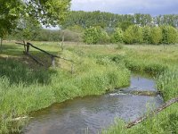 NL, Noord-Brabant, Sint-Michielsgestel, Landgoed Zegenwerp 4, Saxifraga-Tom Heijnen