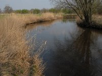 NL, Noord-Brabant, Sint-Oedenrode, Bobbenagelse Brug 1, Saxifraga-Jan van der Straaten