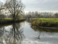 NL, Noord-Brabant, Sint-Oedenrode, Laageinde, Dommel 11, Saxifraga-Jan van der Straaten