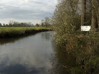 NL, Noord-Brabant, Sint-Oedenrode, Laageinde, Dommel 6, Saxifraga-Jan van der Straaten