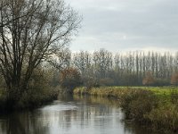 NL, Noord-Brabant, Sint-Oedenrode, Laageinde, Dommel 9, Saxifraga-Jan van der Straaten