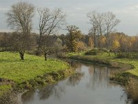 NL, Noord-Brabant, Sint-Oedenrode, Nijnsel, Dommel 1, Saxifraga-Jan van der Straaten