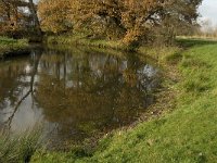 NL, Noord-Brabant, Sint-Oedenrode, Nijnsel, Dommel 4, Saxifraga-Jan van der Straaten