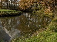 NL, Noord-Brabant, Sint-Oedenrode, Nijnsel, Dommel 5, Saxifraga-Jan van der Straaten