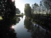 NL, Noord-Brabant, Sint-Oedenrode, Nijnsel, Dommelbeemden 15, Saxifraga-Henk Sierdsema