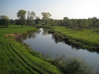 NL, Noord-Brabant, Sint-Oedenrode, Nijnsel, Dommelbeemden 9, Saxifraga-Henk Sierdsema