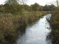 NL, Noord-Brabant, Valkenswaard, De Plateaux, Dommel 2, Saxifraga-Jan van der Straaten