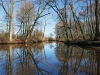 NL, Noord-Brabant, Valkenswaard, Dommel in De Malpie 1, Saxifraga-Tom Heijnen