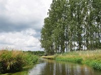 NL, Noord-Brabant, Valkenswaard, Dommel in De Malpie 11, Saxifraga-Tom Heijnen