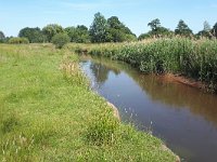 NL, Noord-Brabant, Valkenswaard, Dommel in De Malpie 17, Saxifraga-Tom Heijnen