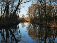 NL, Noord-Brabant, Valkenswaard, Dommel in De Malpie 4, Saxifraga-Tom Heijnen