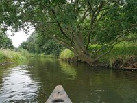 NL, Noord-Brabant, Valkenswaard, Dommel in De Malpie 6, Saxifraga-Tom Heijnen