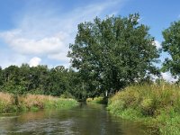 NL, Noord-Brabant, Valkenswaard, Dommel in De Malpie 8, Saxifraga-Tom Heijnen