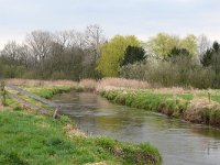 NL, Noord-Brabant, Valkenswaard, Dommel near Horsten 2, Saxifraga-Tom Heijnen