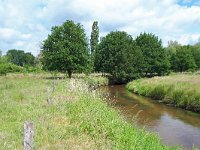 NL, Noord-Brabant, Valkenswaard, Dommel near Horsten 3, Saxifraga-Tom Heijnen