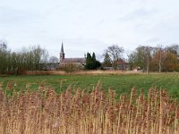 NL, Noord-Brabant, Valkenswaard, Dommel valley near Borkel 1, Saxifraga-Tom Heijnen