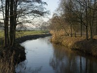 NL, Noord-Brabant, Veldhoven, De Hogt, Dommel 2, Saxifraga-Jan van der Straaten