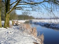 NL, Noord-Brabant, Veldhoven, Dommel valley N of Volmolenweg 2, Saxifraga-Tom Heijnen