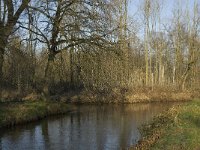 NL, Noord-Brabant, Waalre, De Elshouters, Dommel and Keersop 5, Saxifraga-Jan van der Straaten