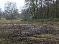 NL, Drenthe, Aa en Hunze, De Burgvallen 24, Saxifraga-Hans Boll