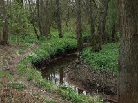 NL, Drenthe, Aa en Hunze, De Burgvallen 30, Saxifraga-Hans Boll